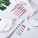 5Pcs/set Eye Makeup Brush Set