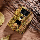Trail Camera
