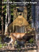 Trail Camera