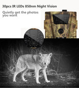 Trail Camera
