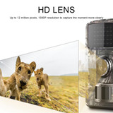 Trail Camera