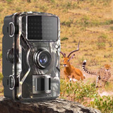 Trail Camera
