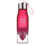 Fruit Infusion Water Bottle