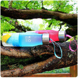 Fruit Infusion Water Bottle