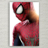The Amazing Spider Man Poster Canvas