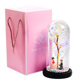 Forever Rose In LED Glass Dome