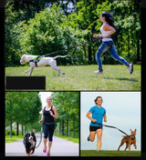 Dog Leash Running Nylon Hand Freely Pet Products  Harness Collar Jogging Lead Adjustable Waist Leashes Traction Belt Rope Dog Leash Running Nylon Hand Freely Pet Products  Harness Collar Jogging Lead Adjustable Waist Leashes Traction Belt Rope