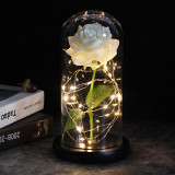 Enchanted Galaxy Rose For Christmas Valentine's Day Gift