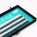 Dovetail Silk Eyelash Individual Lashes extensions