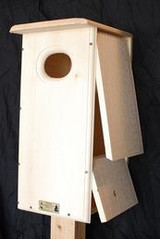 Coveside Wood Duck/Hooded Merganser House