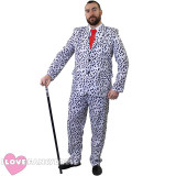 Fancy Dress Costumes