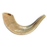 Shofar Ram'S Horn Smaller Sizes