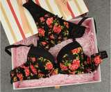 Sexy Seamless Women Bra Set Sexy Seamless Women Bra Set