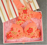 Sexy Seamless Women Bra Set Sexy Seamless Women Bra Set