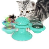 Whirling Turntable Puzzle Cat Interactive Toys With Massage Brush