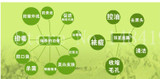 100% Natural Organic Matcha Green Tea Powder