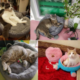 Fast Selling Warm 100% Cotton Cat Bed House