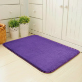 Water Absorption Floor Mat for Entrance Living Room Kitchen