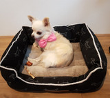 SUPER COZY Bed for Pets