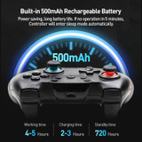x2 Switch Pro Controllers