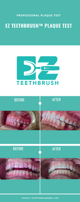 EZ Teethbrush - HANDLE ONLY