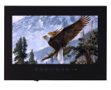Souria 32 inch Big Screen Bathroom LED TV / Waterproof TV Black/White IP66 Frameless Hotel Television Full HD 1080