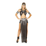 Women's Dragon Princess Costume Set