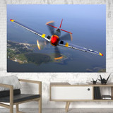 Face to Face Amazing Propeller Printed Canvas Posters (1 Piece)