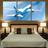 Beautiful Painting of Boeing 787 Dreamliner Printed Canvas Posters (3 Pieces)