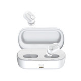 Baseus W01 TWS Wireless bluetooth 5.0 Earphone HiFi 6D Stereo DSP Noise Cancelling Bilateral Call Headphone with 2000mAh Charging Box