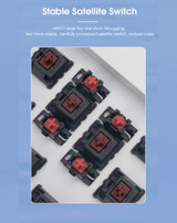 Akko 3087 V2 Silent 87 Keys Mechanical Gaming Keyboard Wired Morandi Grey AKKO Switch PBT Keycap Gaming Keyboard