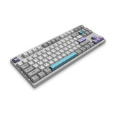 Akko 3087 V2 Silent 87 Keys Mechanical Gaming Keyboard Wired Morandi Grey AKKO Switch PBT Keycap Gaming Keyboard