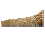 100pcs 1.5mm - 10mm Titanium Coated Drill Bit Set High Speed Steel Manual Twist Drill Bits