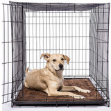 Honana Large Thicken Ultra Soft Chenille Fabric Pet Mat Doormat Floor Rugs Bathroom Carpet