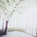 3x5ft Vinyl White Flower Tree Windows Photography Background Backdrops Photo Studio Prop