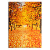5x7ft Vinyl Autumn Fall Photography Background Photo Studio Prop Backdrop