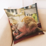 Honana BX 45x45cm Cat Pattern Luxury Cushion Cover Graffi Style Throw Pillow Case Pillow Covers