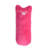 Cute Interactive Fancy Pets Teeth Grinding Catnip Toys Claws Thumb Bite Cat mint Pet Toys