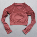 Women Seamless Yoga Set Fitness Sports Suits GYM Cloth Yoga Long Sleeve Shirts High Waist Running Leggings Workout Clothing