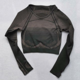 Women Seamless Yoga Set Fitness Sports Suits GYM Cloth Yoga Long Sleeve Shirts High Waist Running Leggings Workout Clothing