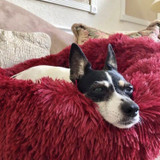 Calming Pet Bed