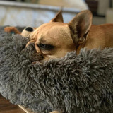 Calming Pet Bed