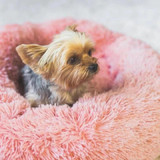 Calming Pet Bed