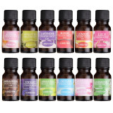 Water-soluble Flower Fruit Essential Oil Relieve Stress for Humidifier Fragrance Lamp Air Freshening Aromatherapy Body Oil TSLM1