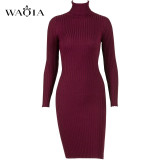 WAQIA Women Autumn Winter Sweater Knitted Dresses Slim Elastic Turtleneck Long Sleeve Sexy Lady Bodycon Robe Dresses Vestidos WAQIA Women Autumn Winter Sweater Knitted Dresses Slim Elastic Turtleneck Long Sleeve Sexy Lady Bodycon Robe Dresses Vestidos
