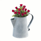 Mini Distressed Watering Cans