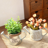 Mini VIntage Watering Cans