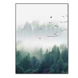 Landscape Forest Canvas