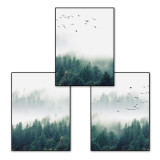 Landscape Forest Canvas