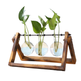 Glass terrarium table planter